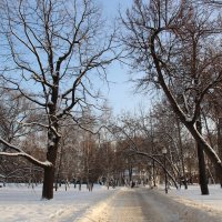 Зима 2015 :: Александра Воскресенская