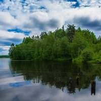 *** :: Дмитрий Рутковский