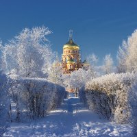 Зимний парк :: Irina Ivanova