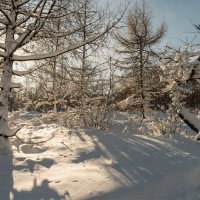 первый снег :: Андрей ЕВСЕЕВ