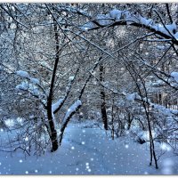 Снег. :: Ирина 