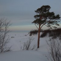 Северодвинск. Сумерки. Вид с дюны на Белое море :: Владимир Шибинский