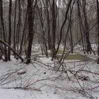 Вспоминая зиму прошлогоднюю - 4 :: Андрей Лукьянов