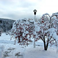 Зимний пейзаж :: Оксана Яремчук