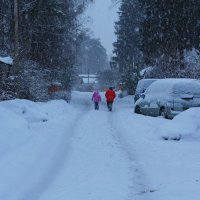 Не хватает снегирей :: Надежда Баликова