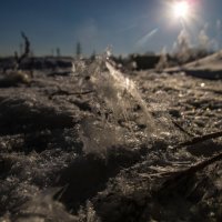 Зимнее солнце. :: Алексей Сараев