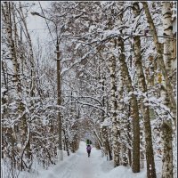 111 :: Александр Липецкий