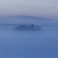 Зимний туман :: Владимир Большаков