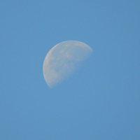Луна :: Надежда Вурская 