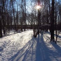 А в прошлом году солнце в январе было! :: Андрей Лукьянов