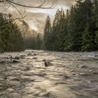 Golden creek :: Сергей Бушуев