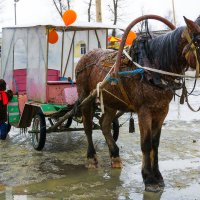 Цыганский сервис. :: Анатолий Сидоренков