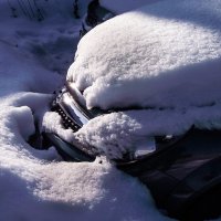 После снегопада :: Владимир Буравкин