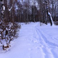 В феврале :: Татьяна Ломтева