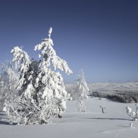 хребет Малый Накас. Оренбуржье :: Константин Филякин