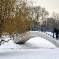 На мостике :: Анатолий Цыганок