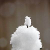 Снежный человечек :: Marina K