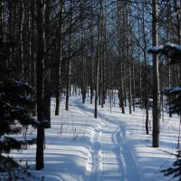 Зимний день :: Радмир Арсеньев