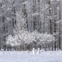 снег :: Игорь Максименко