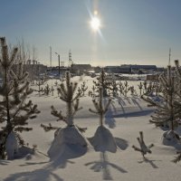 "Тёплое" февральское солнце на Севере :: Василий Хорошев