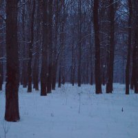Прекрасная Зима :: Полинка Шаленкова