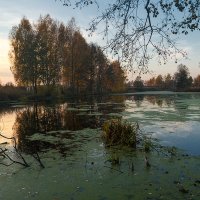 *** :: Андрей Дорожкин