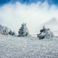 Sierra Nevada 08/02/2015 :: Сергей Седых