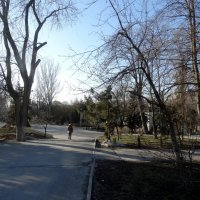 Прогулка в парке... :: Тамара (st.tamara)
