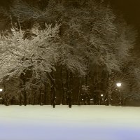ночь в зимнем  парке :: петькун  георгий 