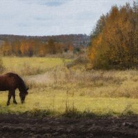 в деревне :: Жанна ..