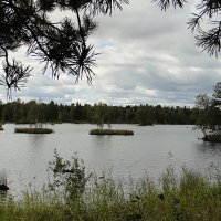 Озеро в  Лепсари :: Елена Павлова (Смолова)