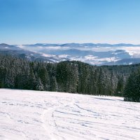 ... :: Владимир Хижко