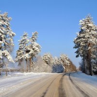Зимняя  дорога  домой. :: Валера39 Василевский.