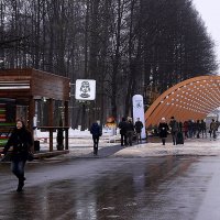 Парк в Сокольниках. :: Владимир Болдырев