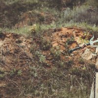 One soldier in the field... :: Кася Фотографиня 