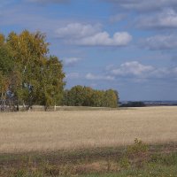 Русское поле :: Евгений Суханов