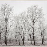 Холодный февраль :: Denis Aksenov