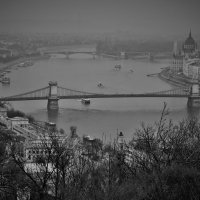 Хмурое утро на Дунае :: Сергей Дабаев
