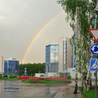 После дождя. :: Sergey Анциферов