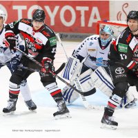 Kölner Haie - Hamburg Freezers.   Хоккей Германии :: Sergej Rogosin