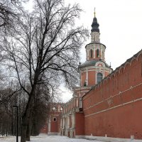 Донской монастырь 2 :: Игорь Егоров