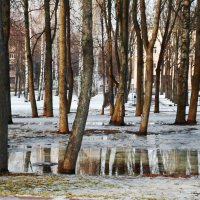 Завтра весна :: Мария Т