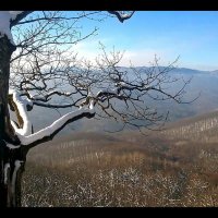 В горах Кавказа :: Ольга Ламзина