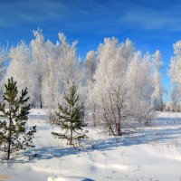 Зима :: Елена Круглова