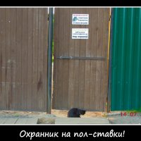 Охранник на пол-ставки)))))) :: Олег Каплун