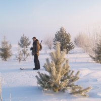 Прогулка морозным утром... :: Michail Sinitsyn 