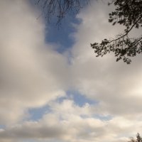 переменная облачность :: liudmila drake
