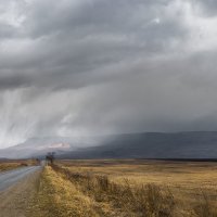 +++ :: Анна Хрипачева