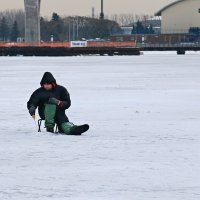 Не топай! :: Михаил Лобов (drakonmick)