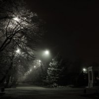 Туманный вечер :: Виталий Павлов